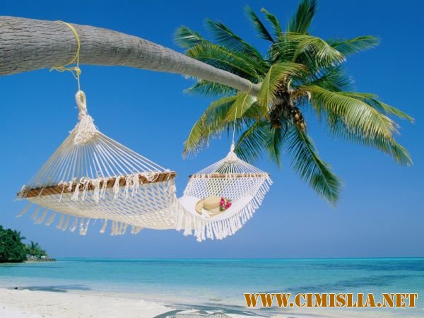 Обои для Рабочего стола - Тропики [2011]