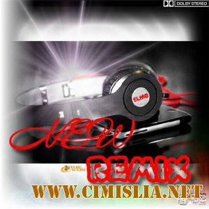 New REMIX [2011 / MP3 / 320]