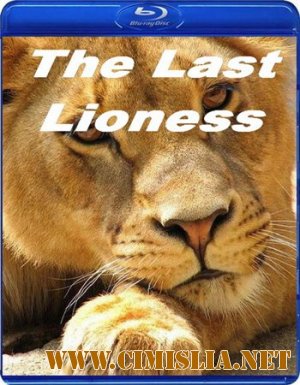 Спасённый львицей / Saved By The Lioness [2011 / HDTV]