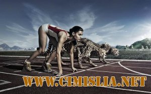 Обои для Рабочего стола - Обои с приколом [2011]