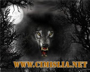 Обои для Рабочего стола - Потусторонний мир [2011]