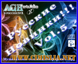 Русские Новинки Vol.5 from AGR [2011 / MP3 / 320 kb]