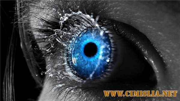 Обои для Рабочего стола - Ассорти № 12 [2011]