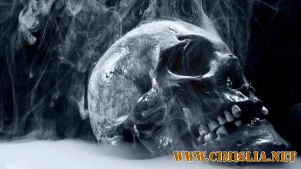 Обои для Рабочего стола - Ассорти № 13 [2011]