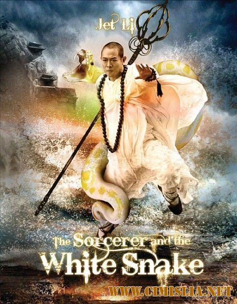 Чародей и Белая змея / The Sorcerer and the White Snake [2011 / HDTVRip]