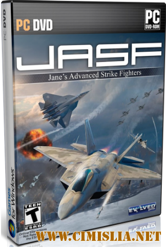 Jane's Advanced Strike Fighters [2011 / RUS / ENG]