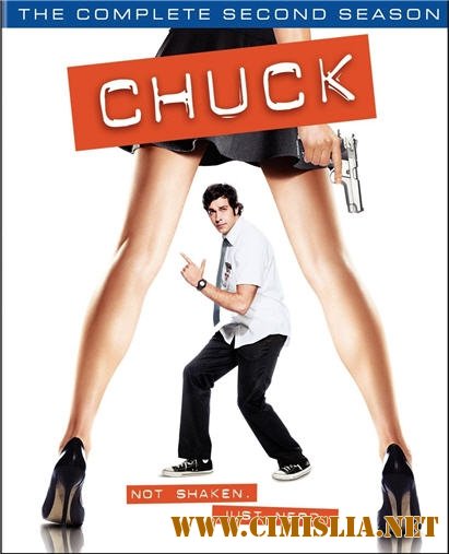 Чак / Chuck [Сезон 2 , серия 1-22] [2008 / DVDRip]