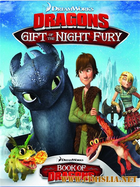 Драконы: Подарок ночной фурии / Dragons: Gift of the Night Fury (2011)