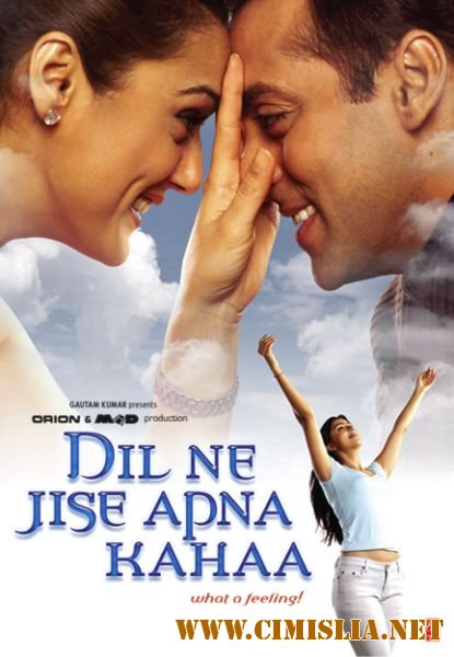 Сердце, не перестающее биться / Dil Ne Jise Apna Kaha [2004 / DVDRip]