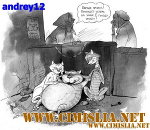 Фотоподборка