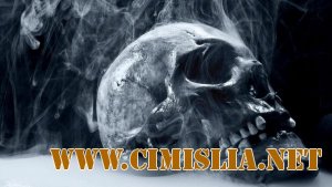 Обои для Рабочего стола - Ассорти № 13 [2011]