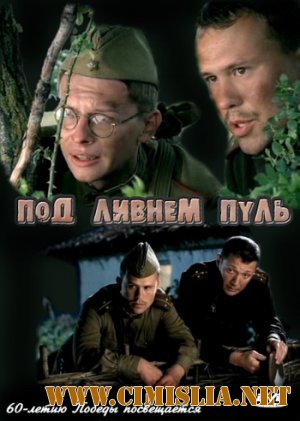 Под ливнем пуль [01-04 из 04] [2006 / DVDRip]