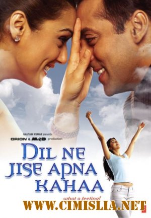Сердце, не перестающее биться / Dil Ne Jise Apna Kaha [2004 / DVDRip]