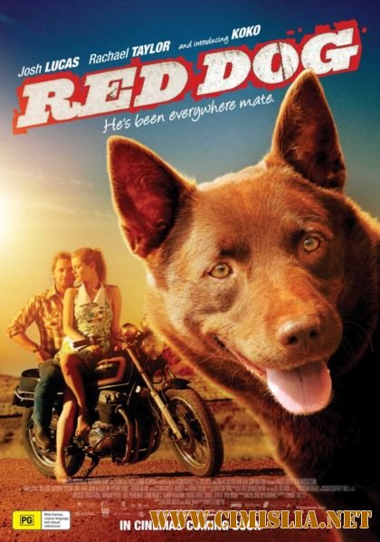 Рыжий пес / Red Dog [2011 / HDRip | Лицензия]