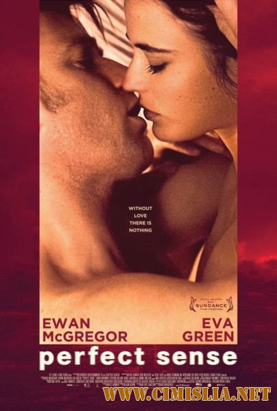Последняя любовь на Земле / Perfect Sense [2011 / DVDRip | Лицензия]