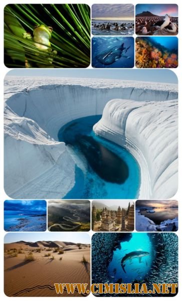 Обои на рабочий стол - National Geographic [2011]