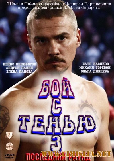 Бой с тенью 3D: Последний раунд [2011 / DVDRip | Лицензия]