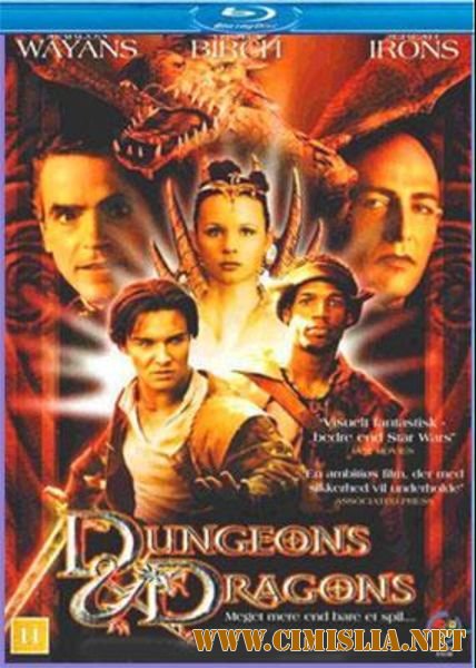 Подземелье драконов / Dungeons & Dragons [2000 / HDRip]