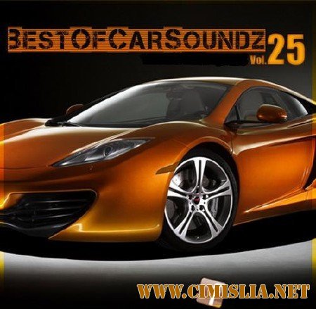Best of Car Soundz Vol. 25 [2011 / MP3 / 192-320 kb]