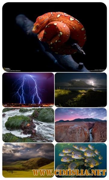 Обои для рабочего стола - National Geographic [2011]