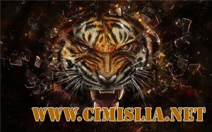 Обои для Рабочего стола - Широкоформатные HQ обои [2011]