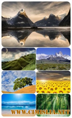 Обои для рабочего стола - Природа [2011]