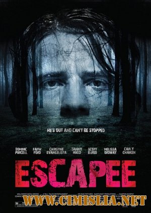 Беглец / Escapee [2011 / DVDRip]