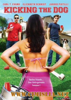 Лето наших надежд / Kicking the Dog [2009 / DVDRip]