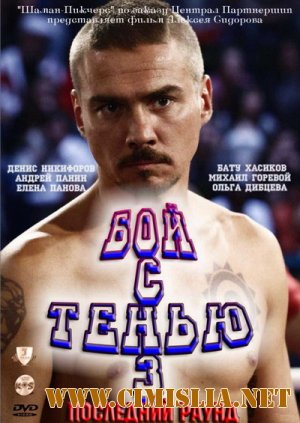 Бой с тенью 3D: Последний раунд [2011 / DVDRip | Лицензия]