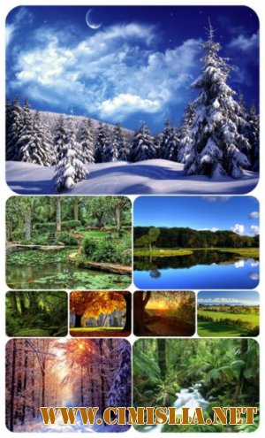 Обои для рабочего стола - Природа [2011]