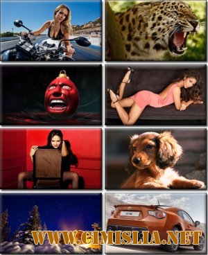 Обои для рабочего стола - Разное [2011]