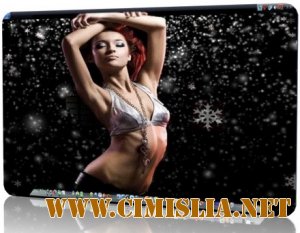 DesktopSnowOK - 1.68 [2011 / МULTI / ENG / RUS]