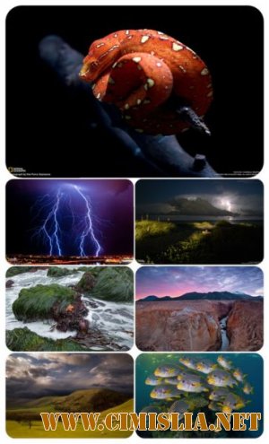 Обои для рабочего стола - National Geographic [2011]