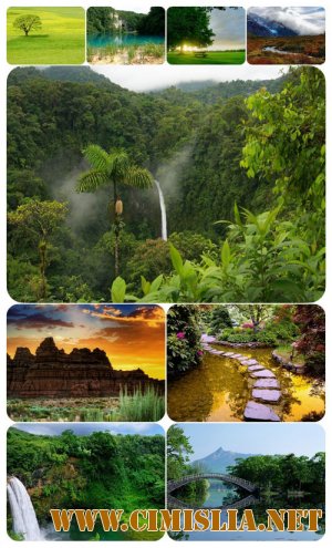 Обои для рабочего стола - Природа [2011]