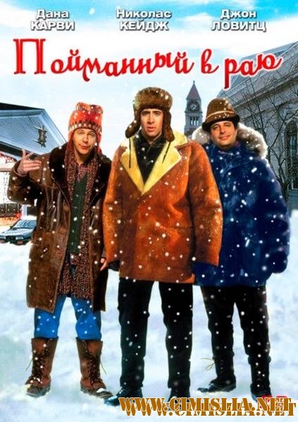 В раю, как в ловушке / Пойманный в раю / Trapped in Paradise [1994 / HDTVRip]