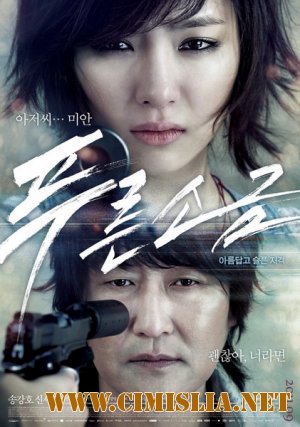 Взгляд из прошлого / Hindsight / Poo-reun-so-geum [2011 / HDRip]