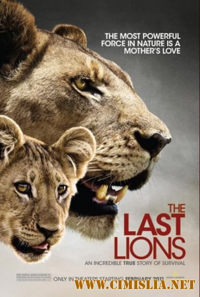 Последние львы / The Last Lions [2011 / HDRip]