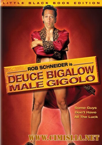 Мужчина по вызову / Deuce Bigalow: Male Gigolo [1999 / DVDRip]
