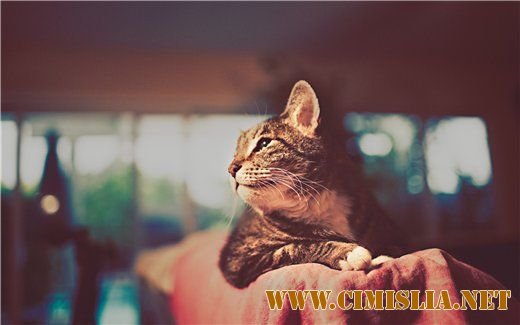 Best impressive FULL HD wallpapers N°2 [2011]