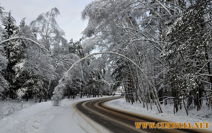 Colecie de imagini №2 [2011]