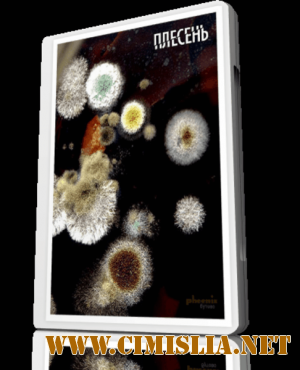 Плесень [2008 / DVDRip]