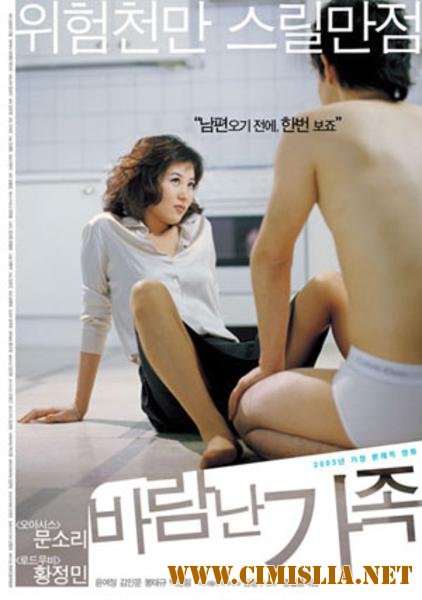 Жена хорошего адвоката / A Good Lawyer's Wife [2003 / DVDRip]