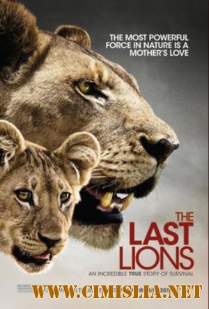 Последние львы / The Last Lions [2011 / HDRip]