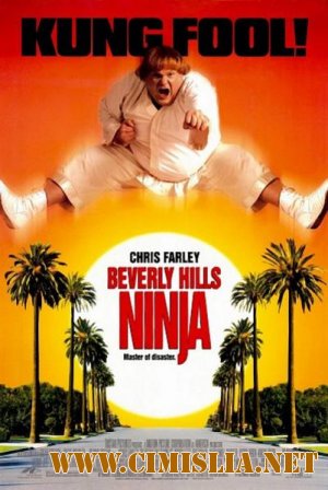 Ниндзя из Беверли Хиллз / Beverly Hills Ninja [1997 / HDTVRip]