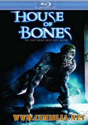 Дом из костей / House of Bones [2010 / HDRip]
