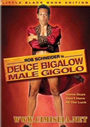 Мужчина по вызову / Deuce Bigalow: Male Gigolo [1999 / DVDRip]