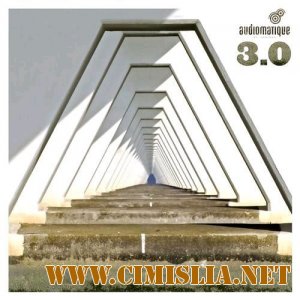 Audiomatique 3.0 [2012 / MP3 / 320 kb]
