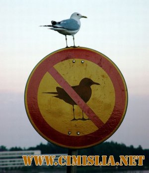 Фотоподборка