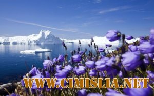 Amazing Nature HD Wallpaper N°3 [2012]