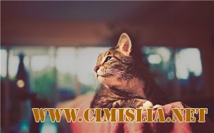 Best impressive FULL HD wallpapers N°2 [2011]